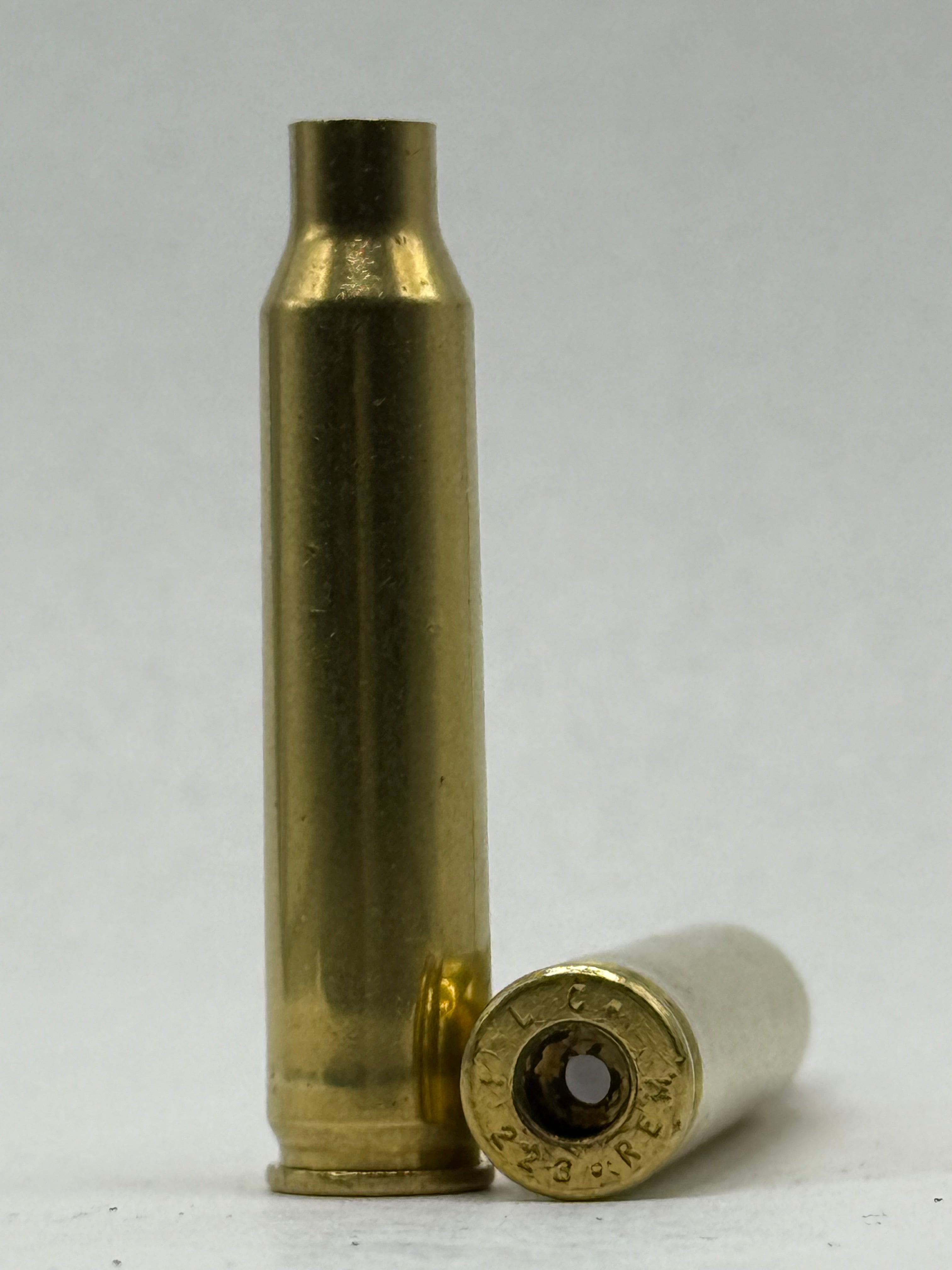 .223/.556 Processed Cleaned & Polished Brass Cases